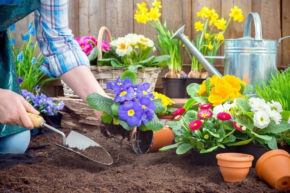 ¿Estás preparado para el mantenimiento de primavera en tu hogar? 